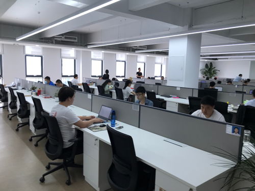 聚焦石家莊電子信息產(chǎn)業(yè) 神玥軟件數(shù)字化發(fā)展迎來黃金期